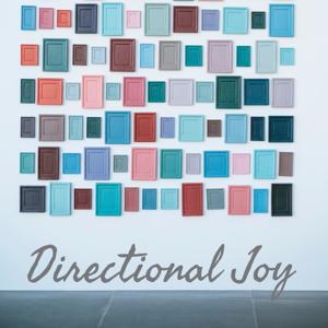 Directional Joy