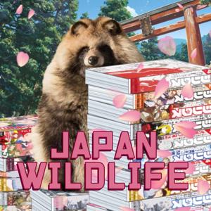 Japan Wildlife