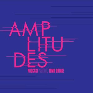 Amplitudes