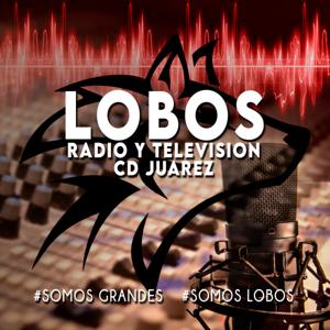 Podcast de la Universidad de Durango campus Cd Juarez.