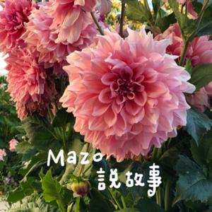 MAZO說故事