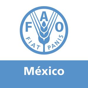 FAO en México