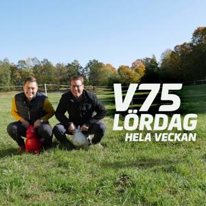 V75 - lördag hela veckan by ATG