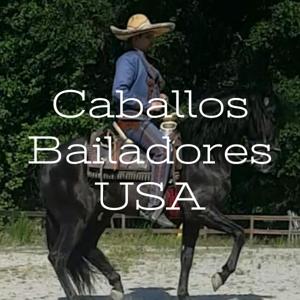 Caballos Bailadores USA