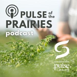 Pulse of the Prairies by Saskatchewan Pulse Growers