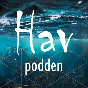 Havpodden by Havpodden