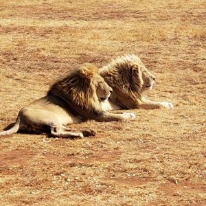 Opinionated & Unqualified