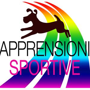 Apprensioni Sportive Channel