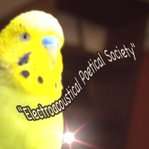 Electroacoustical Poetical Society