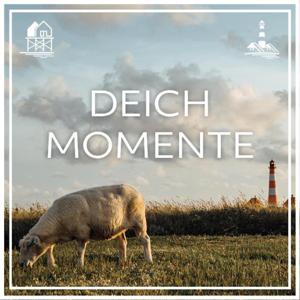 Deichmomente