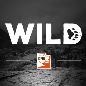 Wild by Utah Division of Wildlife Resources