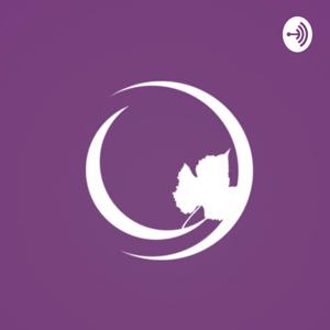 Palestras de Terça-feira