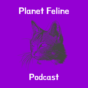 Planet Feline