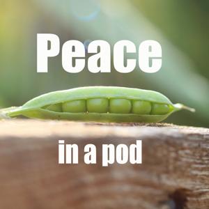 Peace in a Pod