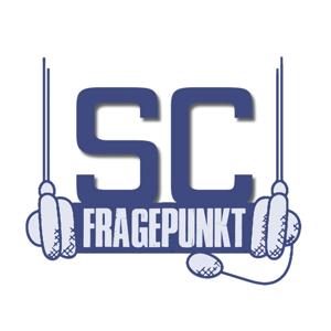 Sofacoach Fragepunkt