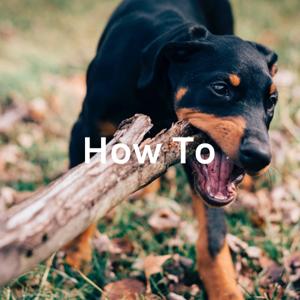 How To: Train Your Puppy by Kennedy Anderson