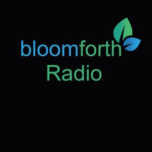 Bloomforth Radio