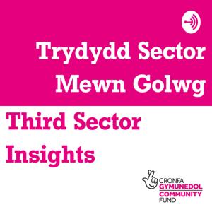 Third Sector Insights / Trydydd Sector Mewn Golwg