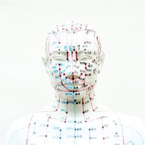 Chinese Medicine Talk Radio