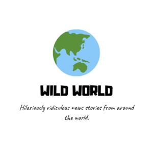 Wild World
