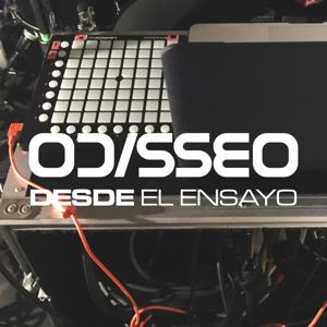 Desde el ensayo
