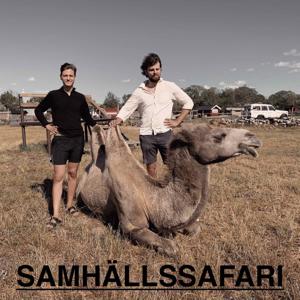 Samhällssafari