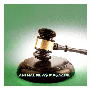 Animal News Magazine