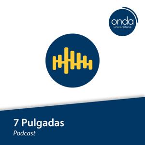 7 Pulgadas