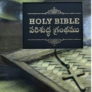 Holy Bible Telugu