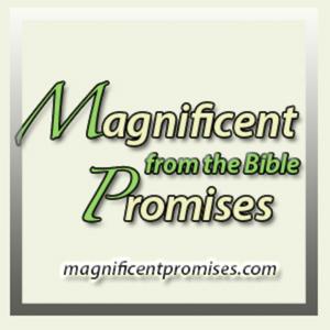 Magnificent Promises