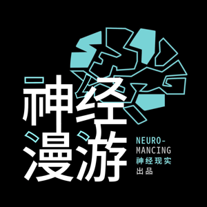 神经漫游 Neuro-mancing