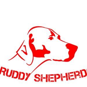 Ruddy Shepherd