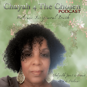 CHAYAH 4 The Chosen!