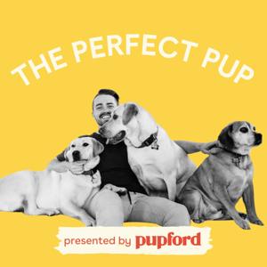 The Perfect Pup by Devin Stagg from Pupford