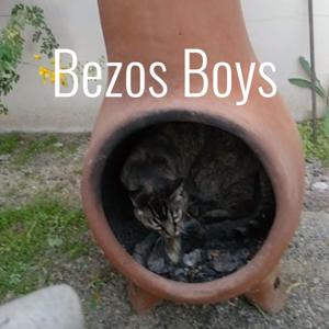 Bezos Boys