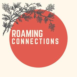 Roaming Connections