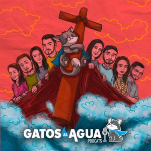 Gatos al Agua