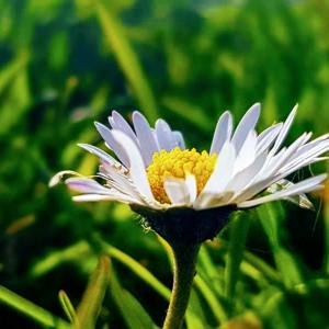 Calming an over active mind by Martin Hewlett Hypnotherapy