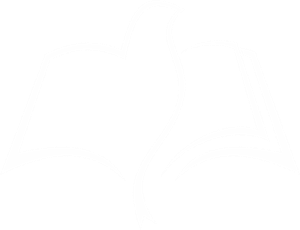 All Sermons