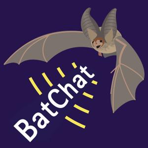 BatChat by Bat Conservation Trust