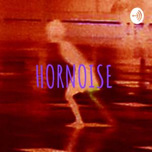 HORNOISE