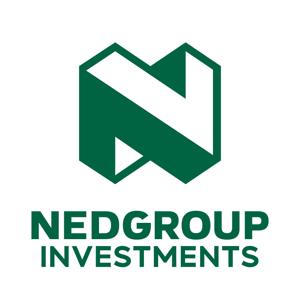 Nedgroup Investments Insights by Nedgroup Investments