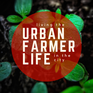 Living the Urban Farmer Life