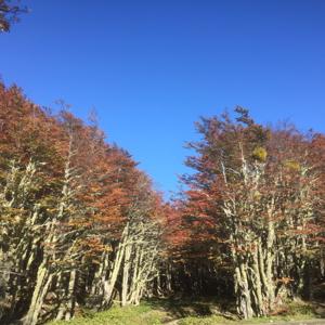 Crónicas de la Patagonia