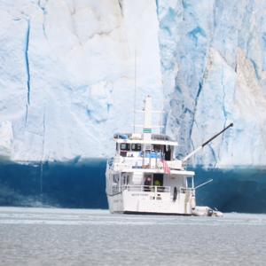 Truly Alaskan Adventures