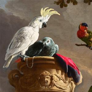 Skabelsen af Paradis