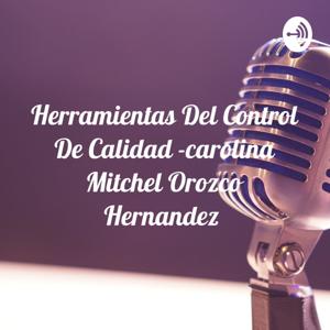 Herramientas Del Control De Calidad -carolina Mitchel Orozco Hernandez