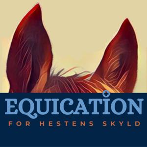 Equication - For hestens skyld by www.equication.dk