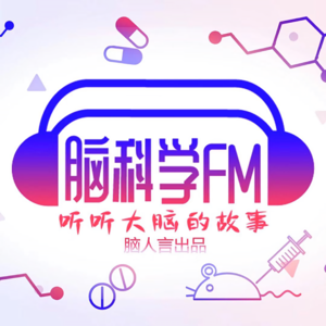 FM脑科学