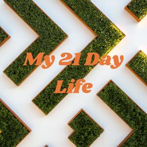 My 21 Day Life - A Journey